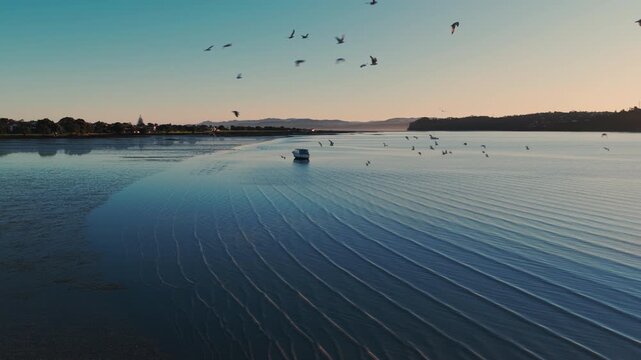 A boat sails on the calm waters of the Manukau Harbour, Auckland, New Zealand, as seagulls fly overhead during a serene sunset.