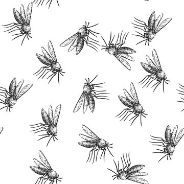 seamless pattern dengue mosquito hand drawn. zika virus, insect control, prevention repellant dengue mosquito black sketch illustration