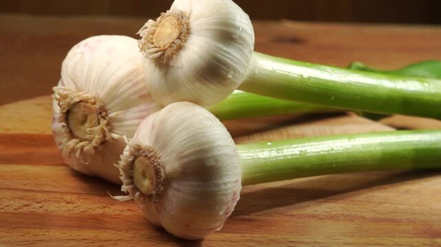 Fresh young garlic with green stems and water drops rotating on a wooden background, studio lighting.