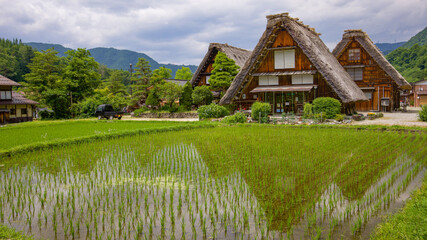 藁葺き屋根の村 © kankurou