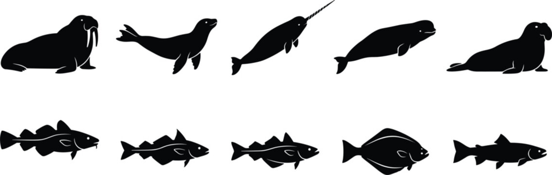 Arctic Marine Wildlife and Sea Animal Black Silhouette Icon Set Featuring Walrus, Seal, Narwhal, Beluga Whale, and Fish Species Designs