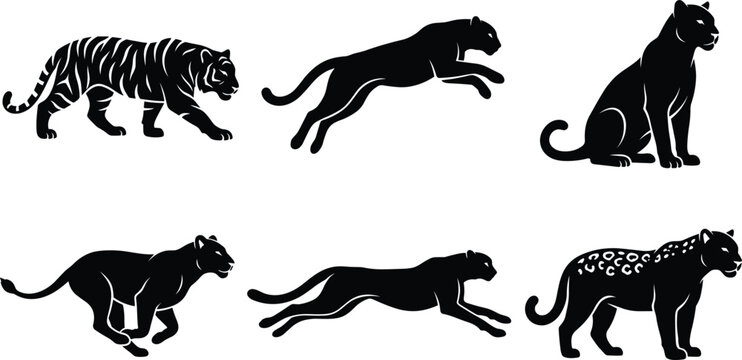 Big Cat and Wild Feline Black Silhouette Icon Set Featuring Tiger, Panther, Cheetah, Jaguar, and Leopard in Prowling and Running Poses