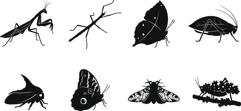 Camouflaged Insect Silhouette Icon Set Featuring Praying Mantis, Stick Bug, Butterfly, Moth, and Mimicry Bugs for Nature Graphic Designs