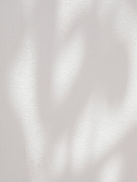 Leaf shadow and light on white concrete wall, overlay effect for photo, mock up, product, wall art, design presentation