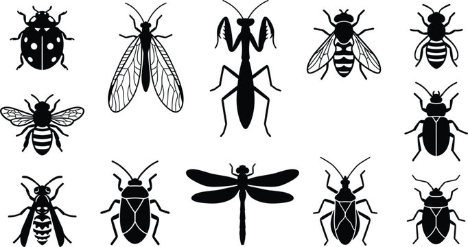 Garden Insect and Bug Silhouette Icon Set Featuring Ladybug Praying Mantis Honeybee Dragonfly and Beetle for Logo Designs