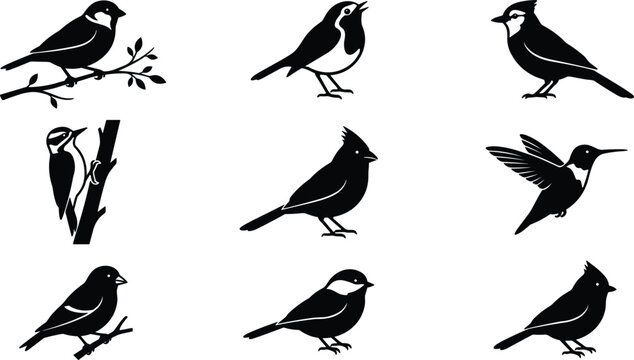 North American Backyard Songbird Black Silhouette Icon Set Featuring Cardinal, Blue Jay, Woodpecker, Robin, Chickadee, and Hummingbird Vector Designs