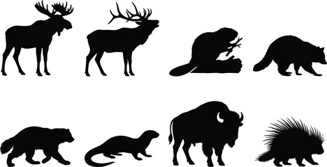 Black Silhouette Vector Set of Moose Elk Beaver Raccoon Bison Wolverine Otter and Porcupine © Hello World