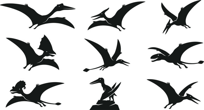 Prehistoric Flying Reptile and Pterodactyl Black Silhouette Icon Set Featuring Pteranodon, Dimorphodon, and Quetzalcoatlus Flying Dinosaur Graphic Designs