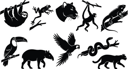 Fototapeta premium Tropical Rainforest Animal Black Silhouette Icon Set Featuring Jaguar, Sloth, Toucan, Monkey, Parrot, and Snake for Vector Graphic Designs