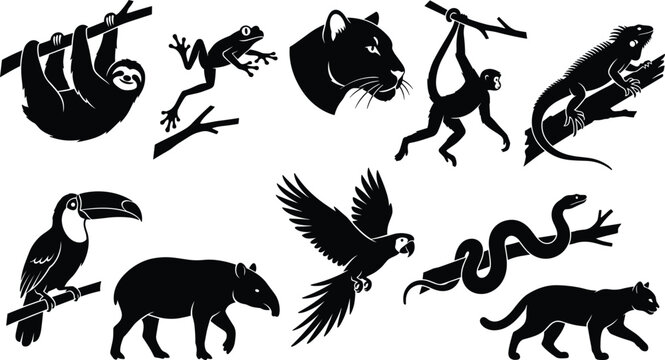 Tropical Rainforest Animal Black Silhouette Icon Set Featuring Jaguar, Sloth, Toucan, Monkey, Parrot, and Snake for Vector Graphic Designs