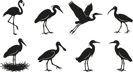 Naklejka premium Wading Bird Silhouette Icon Set Featuring Flamingo, Heron, Crane, Egret, Spoonbill, and Stork for Wetland Wildlife Designs