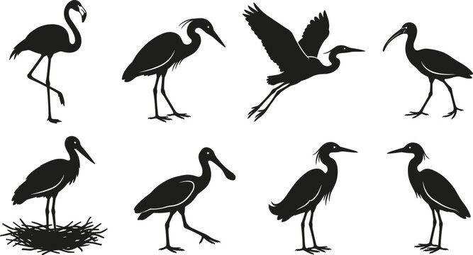 Wading Bird Silhouette Icon Set Featuring Flamingo, Heron, Crane, Egret, Spoonbill, and Stork for Wetland Wildlife Designs
