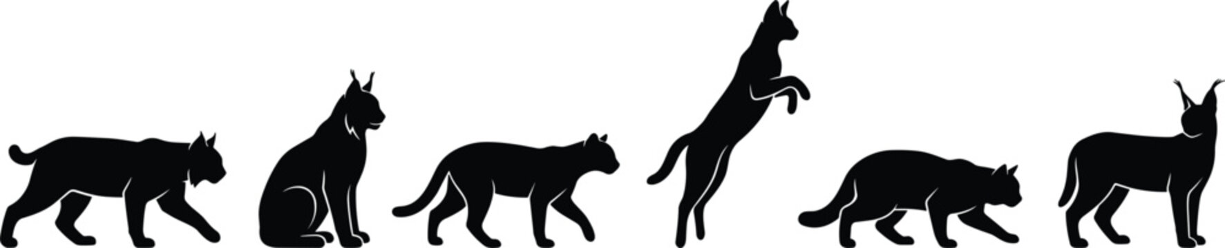 Wild Cat Silhouette Icon Set Featuring Lynx, Bobcat, Cougar, Panther, and Caracal for Forest Nature and Predator Graphic Designs