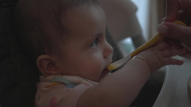Close-up of a parent spoon feeding a baby in a high chair at home, ideal for first foods, weaning, infant care, mealtime and parenting lifestyle themes.