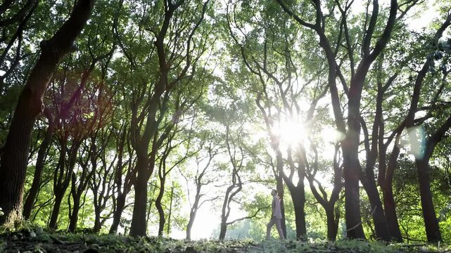 Businesswoman in suit feeling freedom happy in wild forest park during her break, walking on a path in lush green, enjoying fresh air and looking up at the trees, finding peace amidst urban landscape