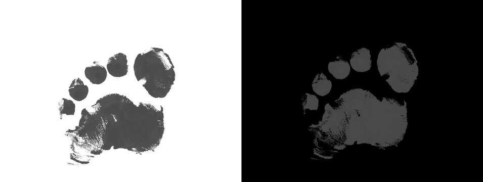 Detailed Toe Black Ink Footprint on Dual Background