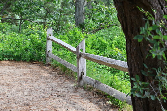 hiking trail