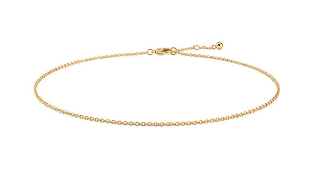 A delicate thin gold chain anklet or bracelet with a simple clasp isolated on a white background, for jewelry and accessory