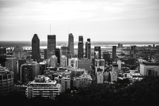 City skyline with tall buildings and skyscrapers in daytime