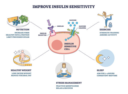 Improve insulin sensitivity overview, insulin sensitive cell with receptor and glucose channel, plus lifestyle tips nutrition, exercise, sleep, stress, weight control. Outline diagram