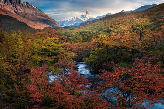 Colorful mountain landscape with trees and river in autumn