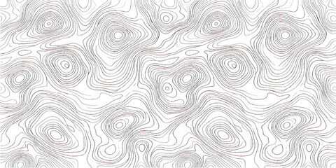 Obraz premium A black and white topographic map pattern with contour lines representing elevation and terrain. The intricate lines create a sense of depth and texture, suggesting hills, valleys.