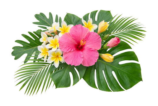 Tropical floral arrangement with hibiscus on transparent background