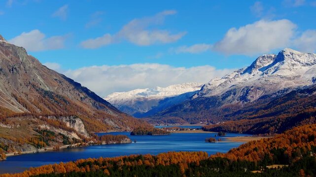 Aerial view of Lake Sils surrounded by golden larch forests and snow-capped mountains in Maloja District, Grisons, Switzerland.