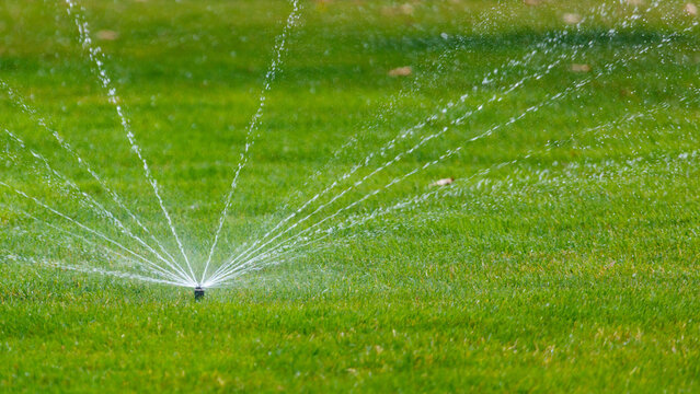 Green lawn being watered by automated sprinkler system