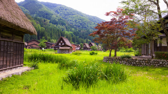 草萌える村