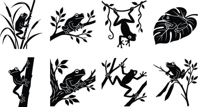 Silhouettes of Frogs in Natural Environments Sitting Climbing and Hanging on Branches and Leaves