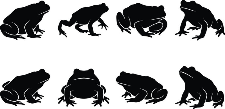 Silhouettes of Frogs in Various Sitting Crouching and Side View Poses Collection