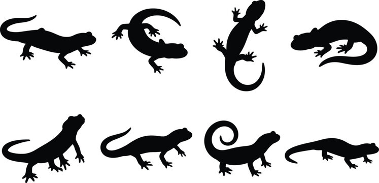 Silhouettes of Lizards in Various Crawling Climbing and Resting Poses with Distinct Tail Shapes