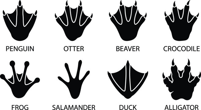 Silhouettes of Penguin Otter Beaver Crocodile Frog Salamander Duck Alligator Footprints Collection