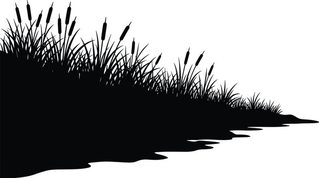 Cattail reeds and marsh grass silhouette vector swamp river bank element isolated