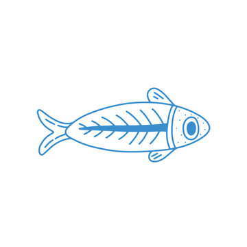 fish on a white background