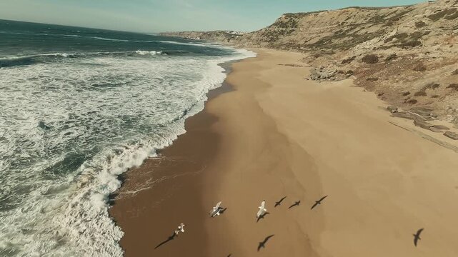 FPV Drone shot of birds flying over sandy beach and footprints, coastal landscape vid1