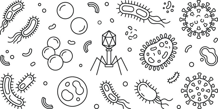 Microscopic bacteria and virus line art icons set with bacteriophage cell structures vector illustration.