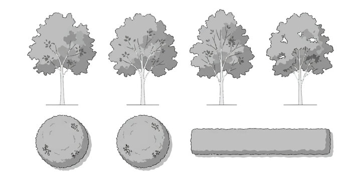 Set of sketch style garden trees and hedge plants for architectural landscape design