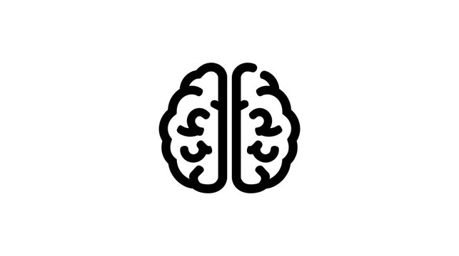 medically accurate illustration of the human brain