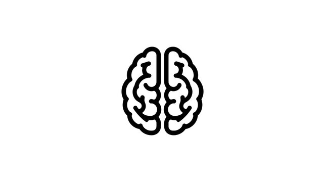 medically accurate illustration of the human brain