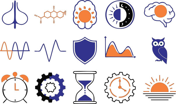 Circadian Rhythm Icon Set - Sleep Cycle Vector, Line Art, Medical Infographic