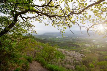 Fototapeta premium Green forest, mountains Caucasus. Scenic trail, slope, spring nature landscape