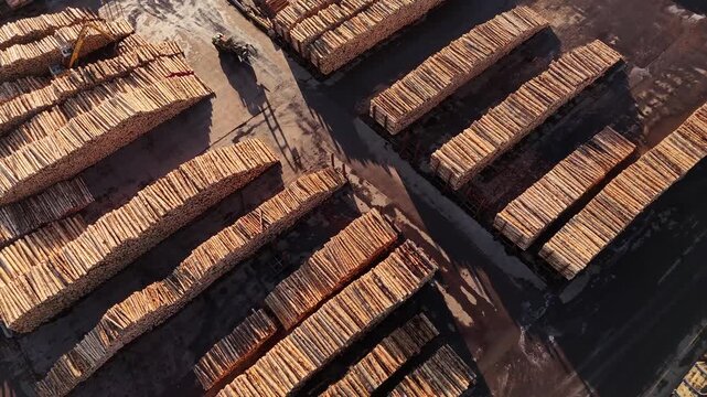 Organized rows of harvested wood logs in industrial port facility in Wellington, New Zealand. Aerial drone top-down view