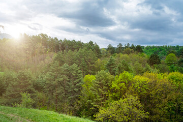 Obraz premium Pine forest valley landscape, dramatic stormy sky. Lush green woodland hills under moody weather clouds.