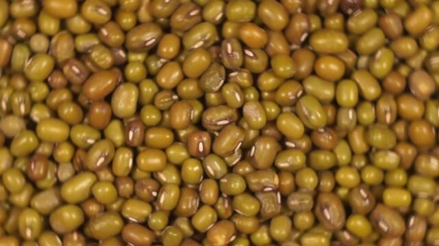 Rotation of mung bean as a texture close-up