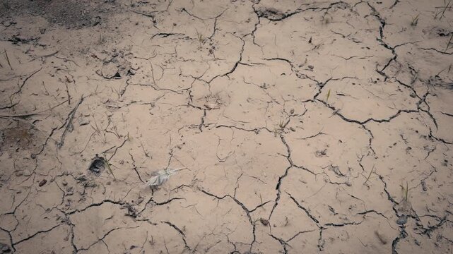 Parched land surface affected by severe drought and extreme heat conditions. Overhead moving perspective.