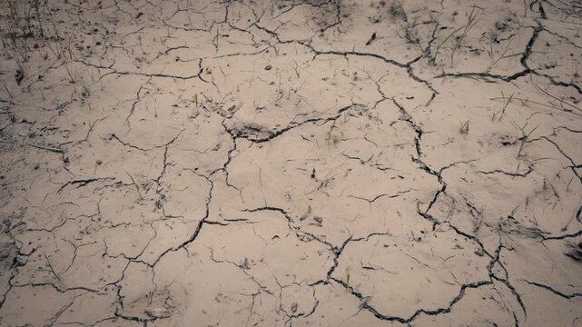 Extreme drought and cracked soil during an ecological disaster. Global warming impact on parched land. Slow movement over arid ground.