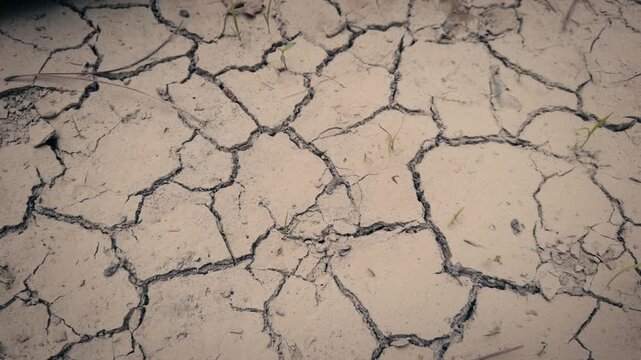 Cracked earth during extreme drought and water scarcity. Tilting movement revealing parched ground texture caused by climate change.