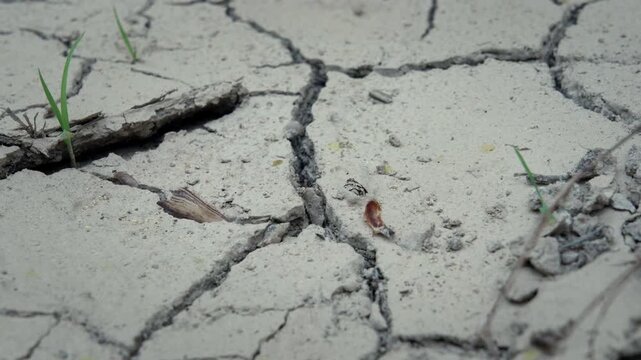 Close view of parched ground suffering from water shortage and extreme temperatures.